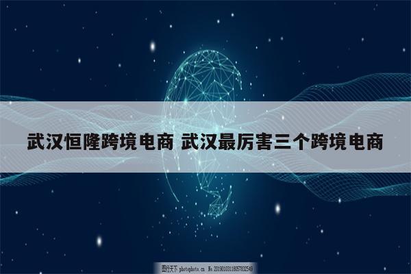 武汉恒隆跨境电商 武汉最厉害三个跨境电商
