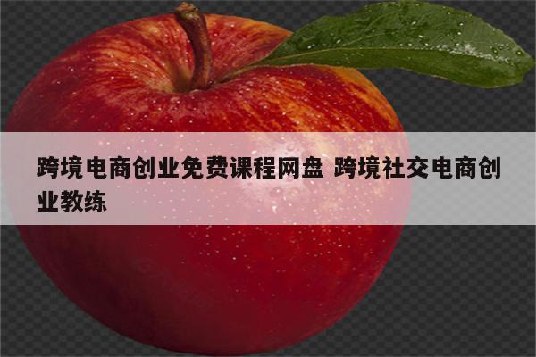 跨境电商创业免费课程网盘 跨境社交电商创业教练
