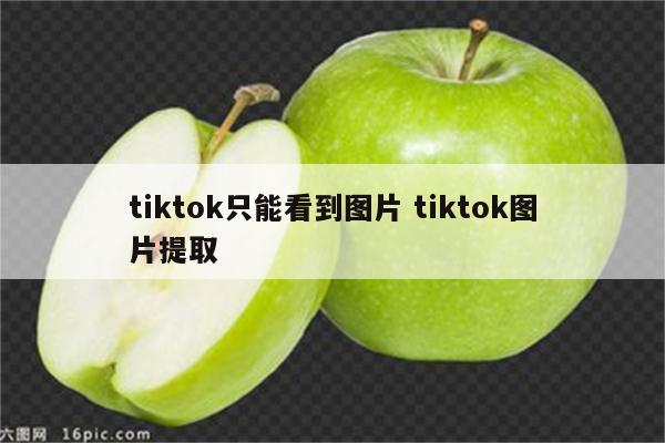 tiktok只能看到图片 tiktok图片提取