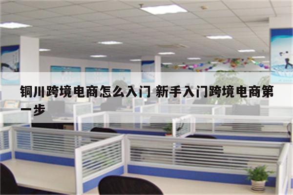 铜川跨境电商怎么入门 新手入门跨境电商第一步