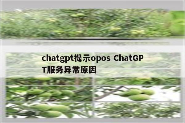 chatgpt提示opos ChatGPT服务异常原因