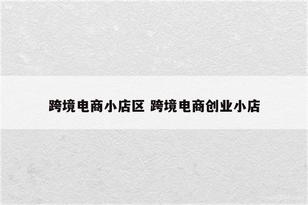 跨境电商小店区 跨境电商创业小店