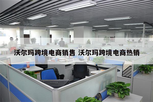 沃尔玛跨境电商销售 沃尔玛跨境电商热销