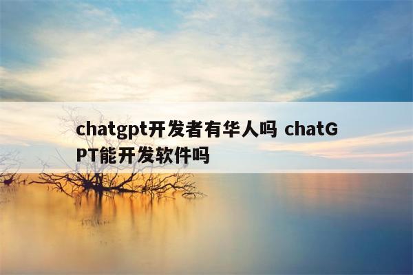 chatgpt开发者有华人吗 chatGPT能开发软件吗