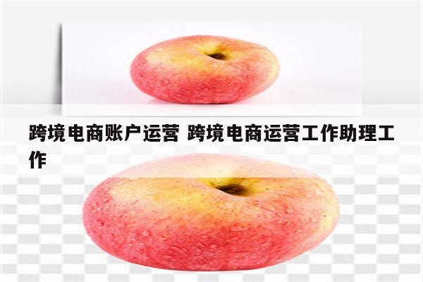 跨境电商账户运营 跨境电商运营工作助理工作