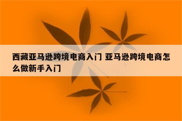 西藏亚马逊跨境电商入门 亚马逊跨境电商怎么做新手入门