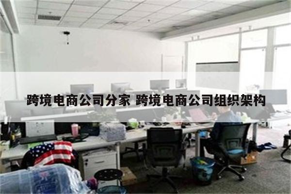 跨境电商公司分家 跨境电商公司组织架构