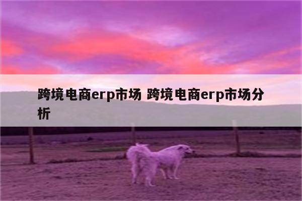 跨境电商erp市场 跨境电商erp市场分析