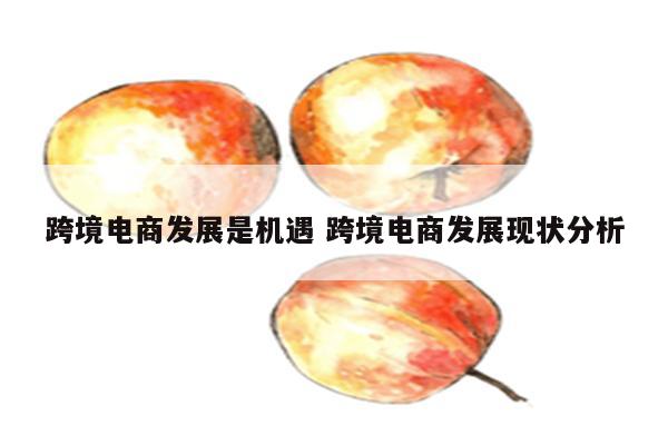 跨境电商发展是机遇 跨境电商发展现状分析