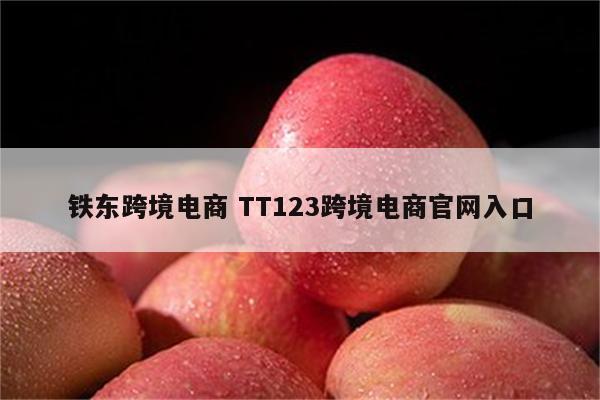 铁东跨境电商 TT123跨境电商官网入口