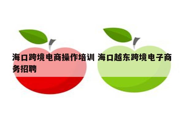 海口跨境电商操作培训 海口越东跨境电子商务招聘