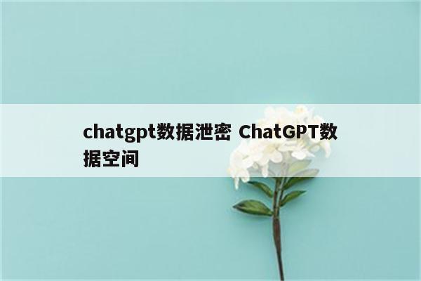 chatgpt数据泄密 ChatGPT数据空间