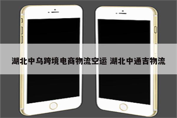 湖北中乌跨境电商物流空运 湖北中通吉物流