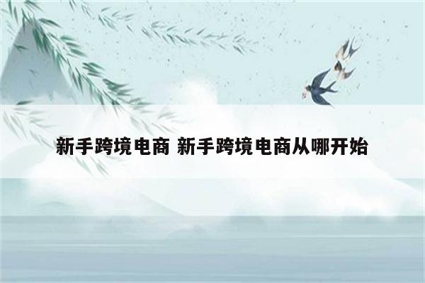 新手跨境电商 新手跨境电商从哪开始