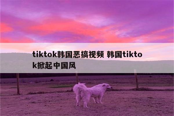 tiktok韩国恶搞视频 韩国tiktok掀起中国风