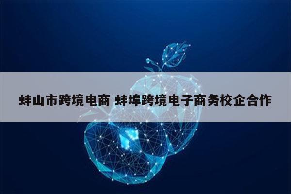 蚌山市跨境电商 蚌埠跨境电子商务校企合作