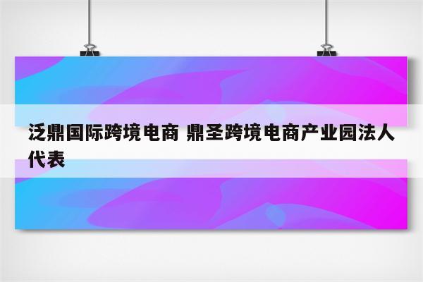 泛鼎国际跨境电商 鼎圣跨境电商产业园法人代表