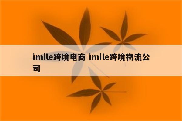 imile跨境电商 imile跨境物流公司