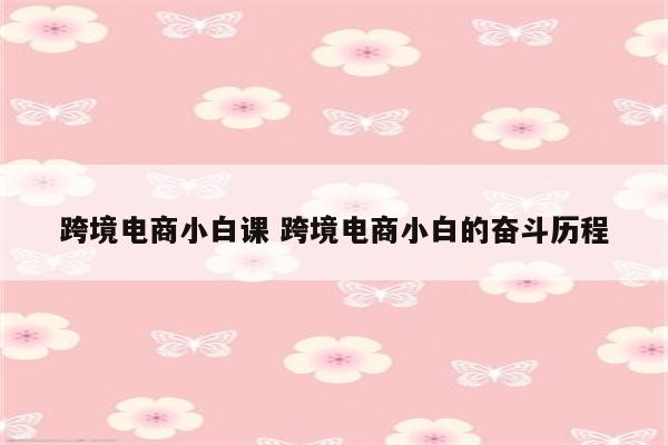跨境电商小白课 跨境电商小白的奋斗历程