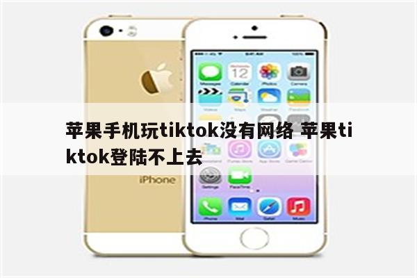 苹果手机玩tiktok没有网络 苹果tiktok登陆不上去