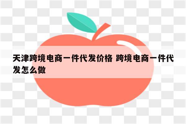 天津跨境电商一件代发价格 跨境电商一件代发怎么做