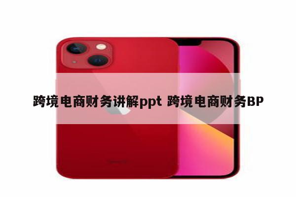 跨境电商财务讲解ppt 跨境电商财务BP