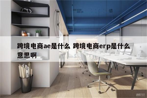 跨境电商ae是什么 跨境电商erp是什么意思啊