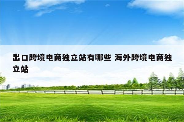 出口跨境电商独立站有哪些 海外跨境电商独立站