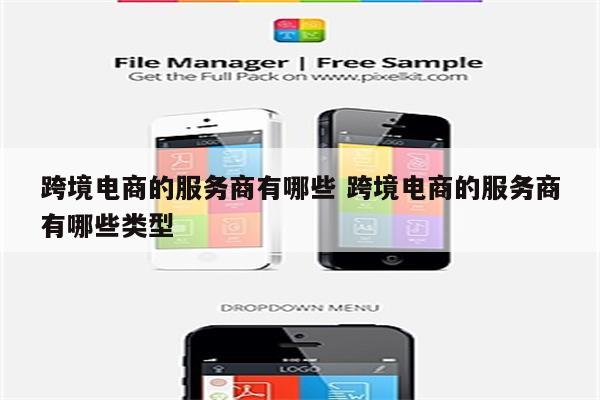 跨境电商的服务商有哪些 跨境电商的服务商有哪些类型