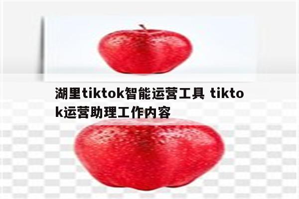 湖里tiktok智能运营工具 tiktok运营助理工作内容
