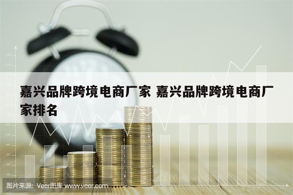 嘉兴品牌跨境电商厂家 嘉兴品牌跨境电商厂家排名