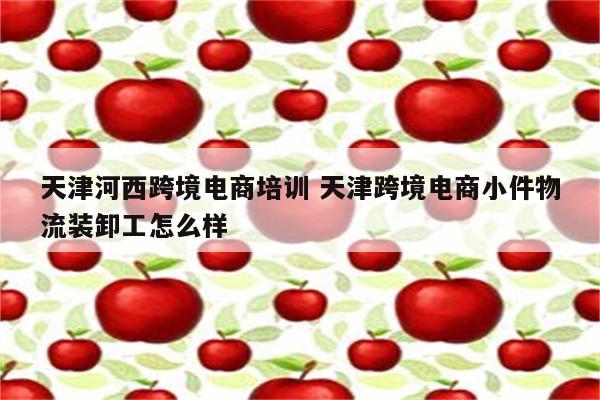天津河西跨境电商培训 天津跨境电商小件物流装卸工怎么样