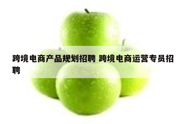 跨境电商产品规划招聘 跨境电商运营专员招聘