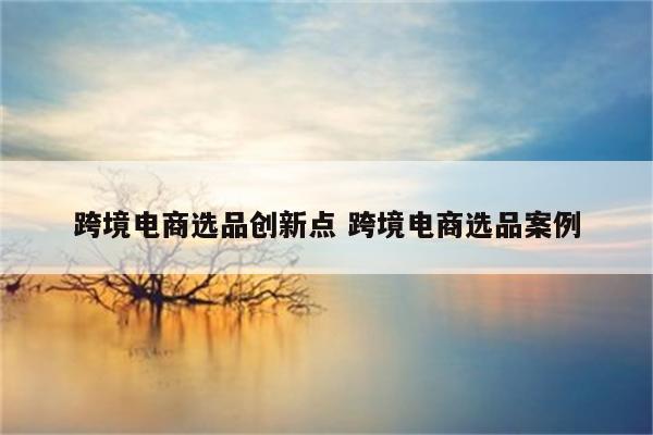 跨境电商选品创新点 跨境电商选品案例
