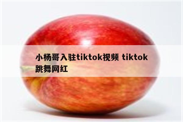 小杨哥入驻tiktok视频 tiktok跳舞网红