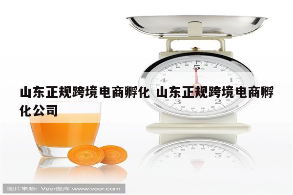 山东正规跨境电商孵化 山东正规跨境电商孵化公司