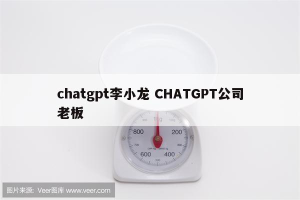 chatgpt李小龙 CHATGPT公司老板