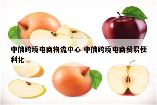 中俄跨境电商物流中心 中俄跨境电商贸易便利化