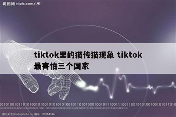 tiktok里的猫传猫现象 tiktok最害怕三个国家