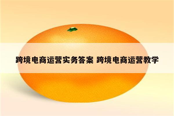 跨境电商运营实务答案 跨境电商运营教学