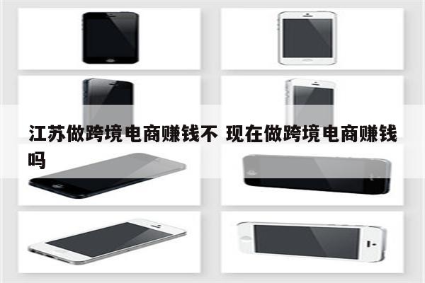 江苏做跨境电商赚钱不 现在做跨境电商赚钱吗