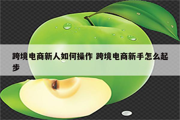 跨境电商新人如何操作 跨境电商新手怎么起步