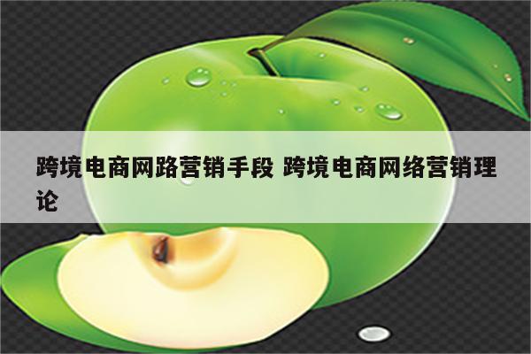 跨境电商网路营销手段 跨境电商网络营销理论