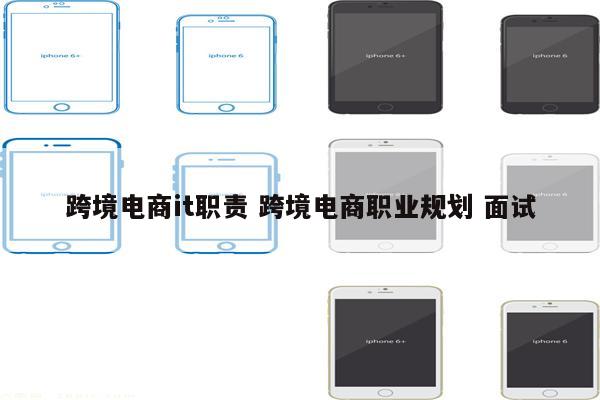 跨境电商it职责 跨境电商职业规划 面试