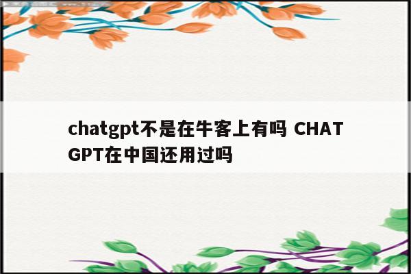 chatgpt不是在牛客上有吗 CHATGPT在中国还用过吗