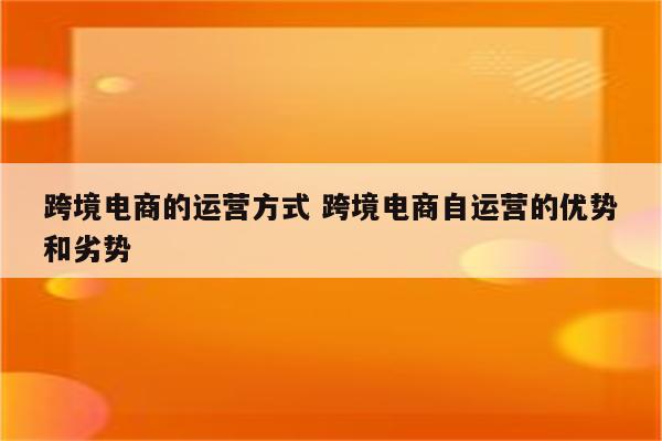 跨境电商的运营方式 跨境电商自运营的优势和劣势