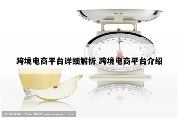 跨境电商平台详细解析 跨境电商平台介绍