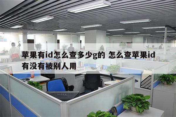 苹果有id怎么查多少g的 怎么查苹果id有没有被别人用