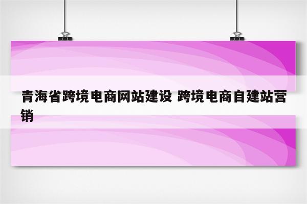 青海省跨境电商网站建设 跨境电商自建站营销