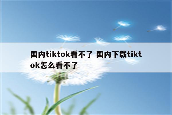 国内tiktok看不了 国内下载tiktok怎么看不了